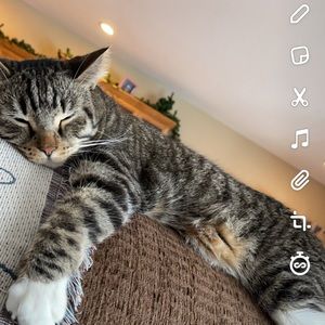 Meet your Posher, Jack